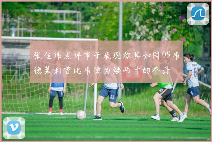张佳玮点评华子表现称其如同09韦德莱利曾比韦德为矮两寸的乔丹