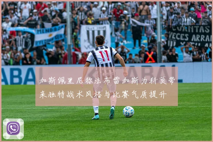 加斯佩里尼称法布雷加斯为科莫带来独特战术风格与比赛气质提升