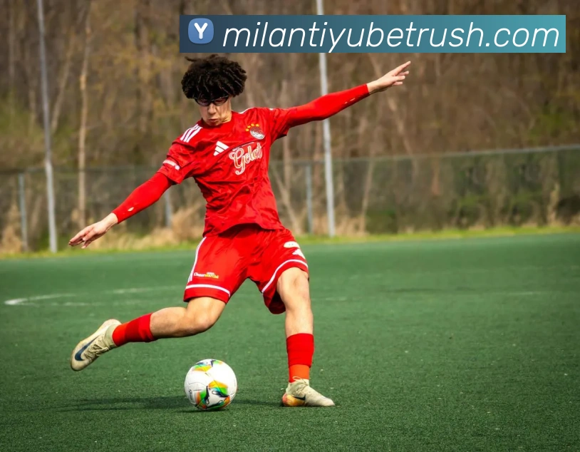 米兰体育服务体系