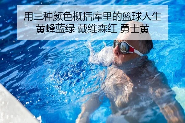 用三种颜色概括库里的篮球人生 黄蜂蓝绿 戴维森红 勇士黄 - MILANSPORT